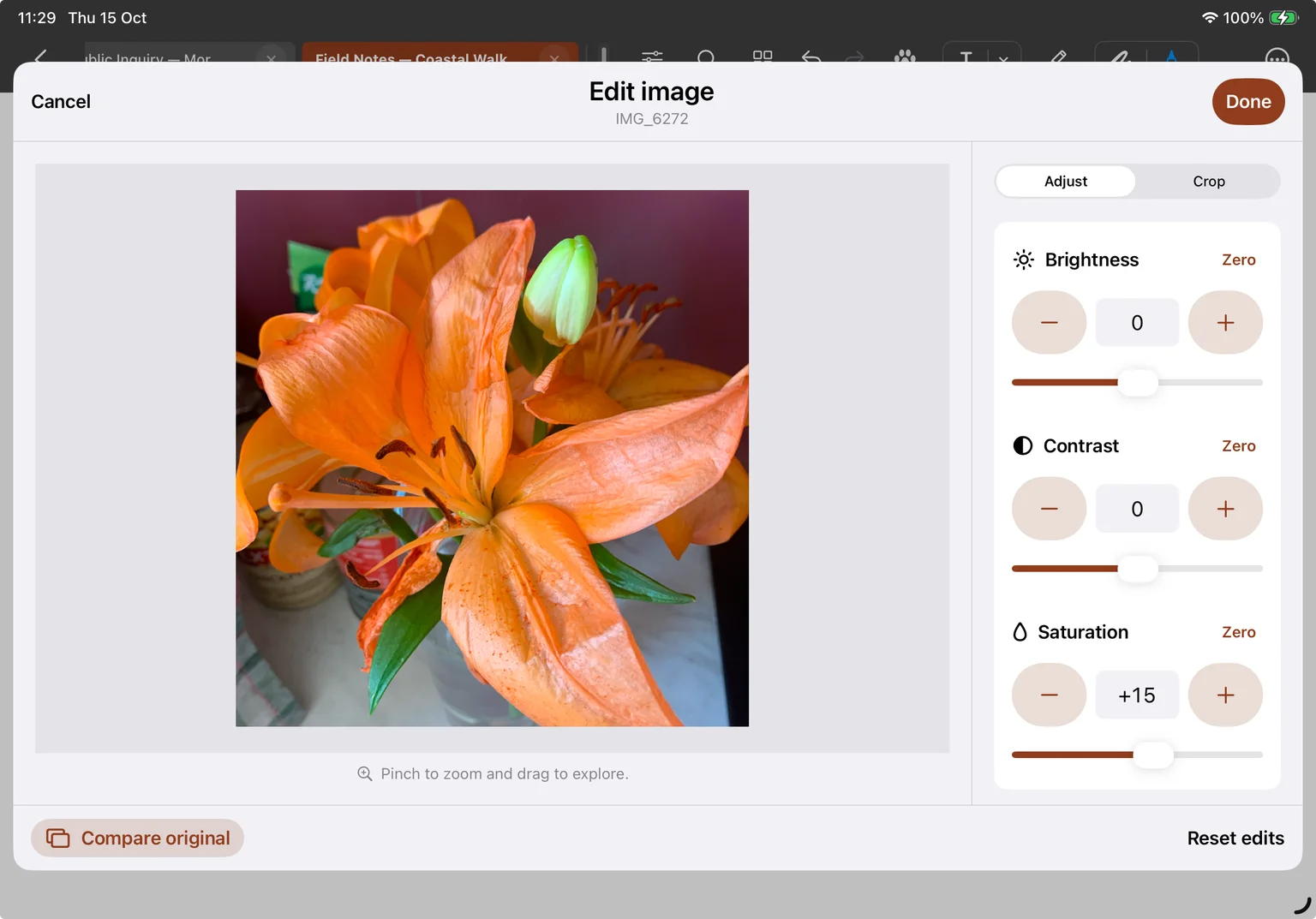 Edit image in Adjust mode with a flower preview, brightness and contrast at zero, saturation at plus 15, numeric values, sliders, minus and plus buttons, and Zero controls