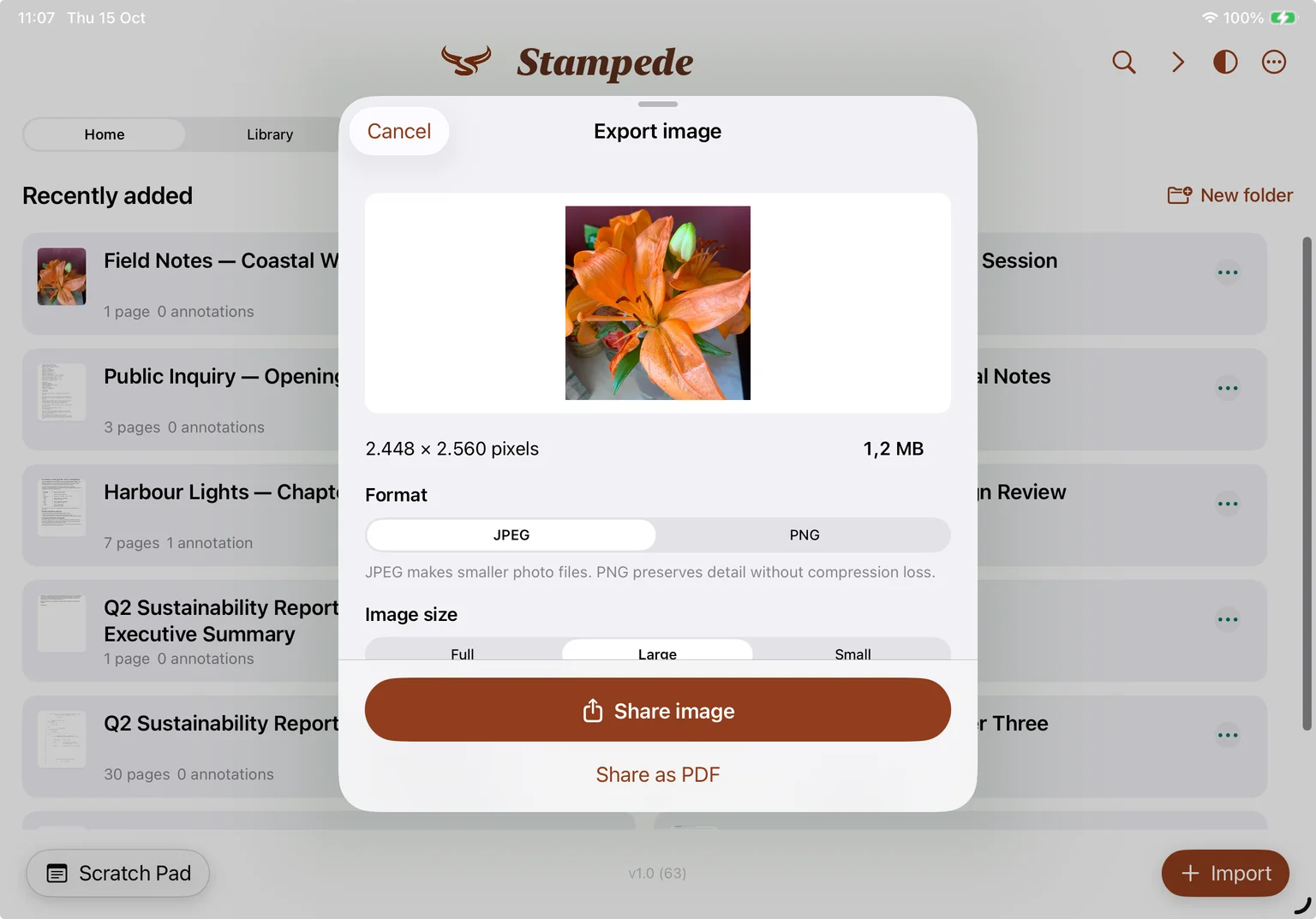 Export image panel opened from Home, with a photo preview, pixel dimensions, file size, JPEG and PNG choices, image size choices, Share image, and Share as PDF