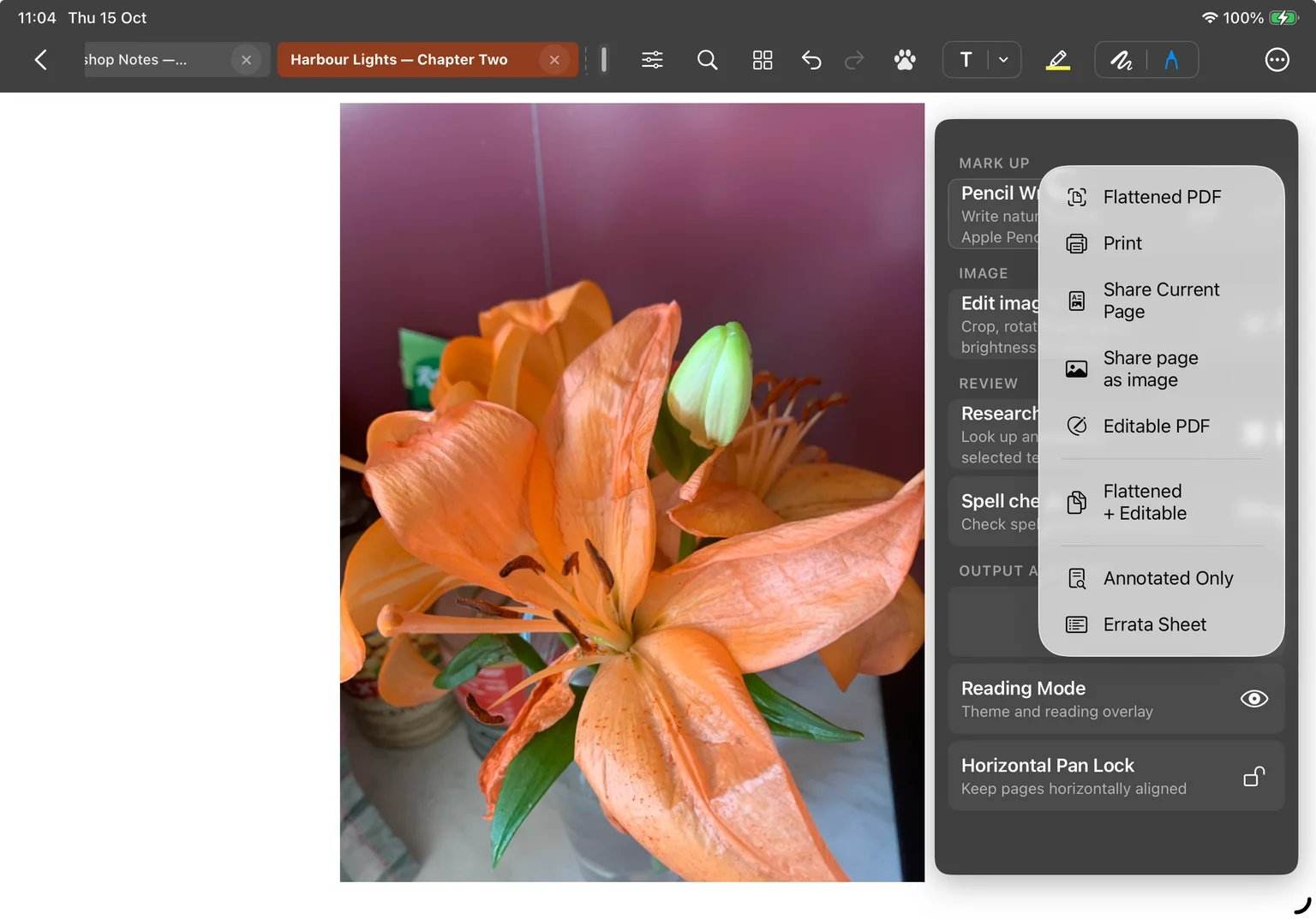 The reader export menu open over More, showing Share Current Page and Share page as image as separate commands